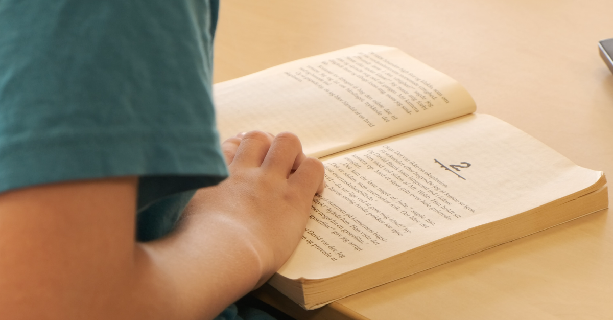 Hvorfor og hvordan arbeide med lesestrategier i grunnskolen?